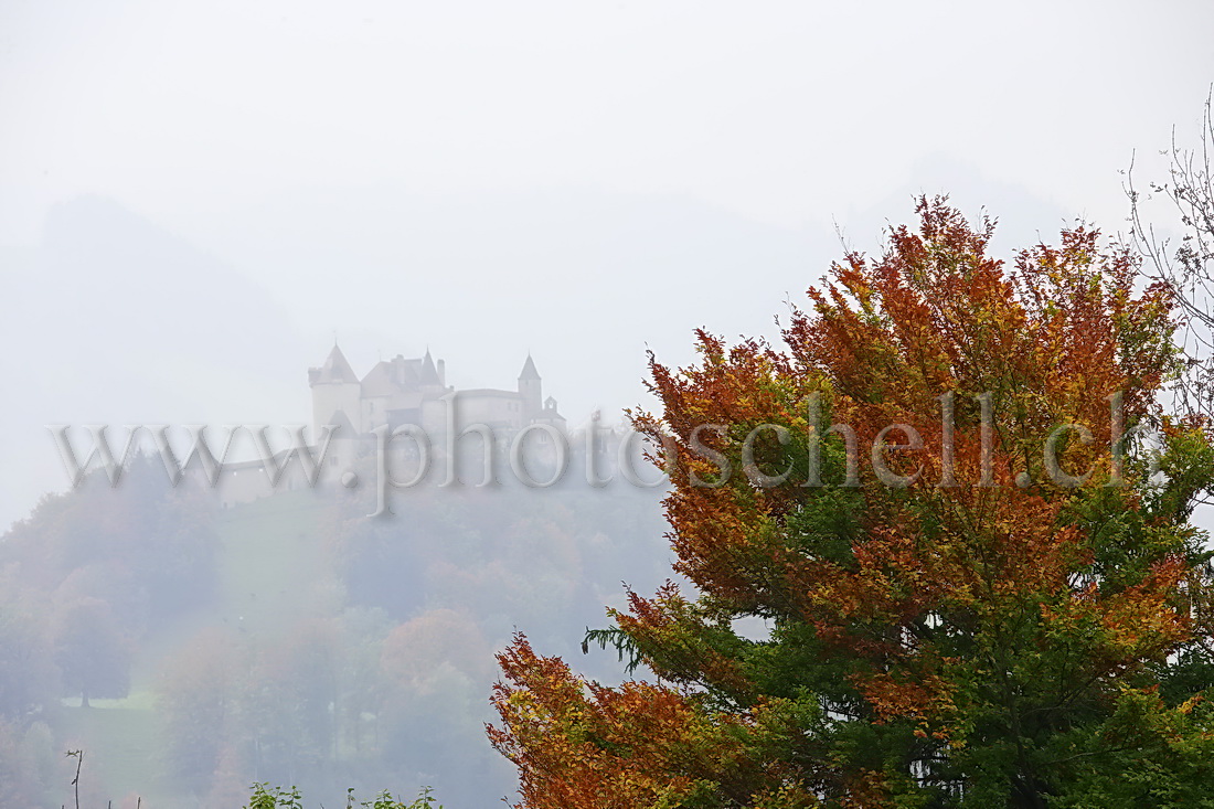 Couleurs d'automne sur le château de Gruyère depuis Les Marches
