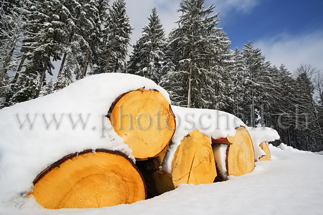 Billes de bois sous la neige