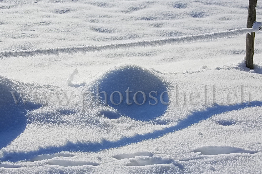 Ombres de givre sur la neige