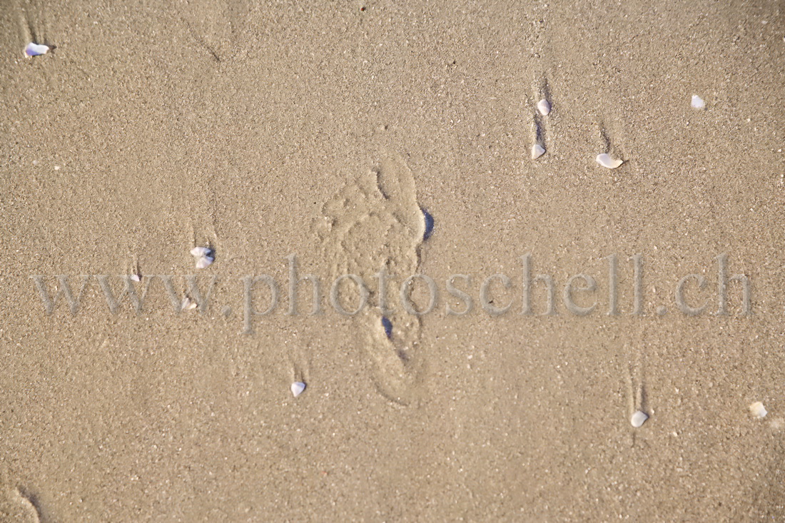 Empreinte de pied sur le sable