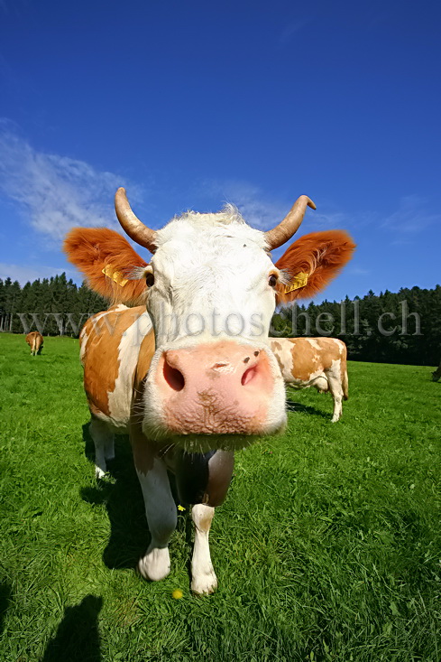 Un petit sourire pour la photo.