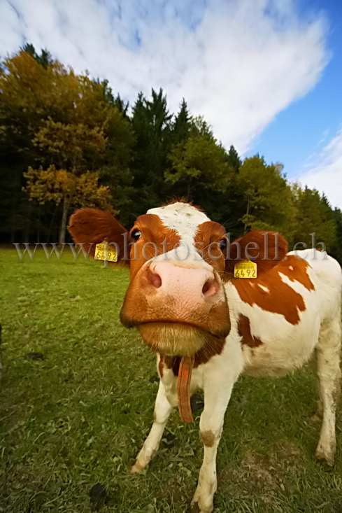 Si jeune et déjà photogénique...