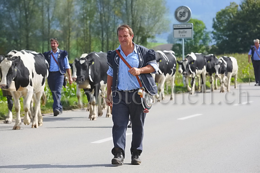 L'armailli rentre dans Marsens