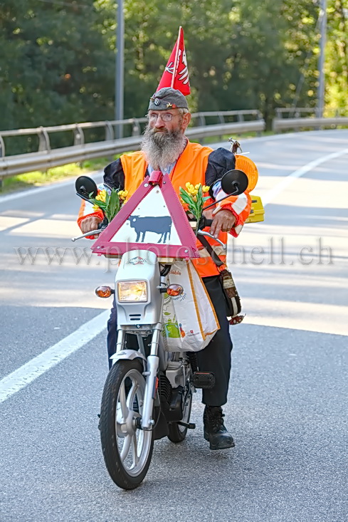 Convoyeur de désalpe