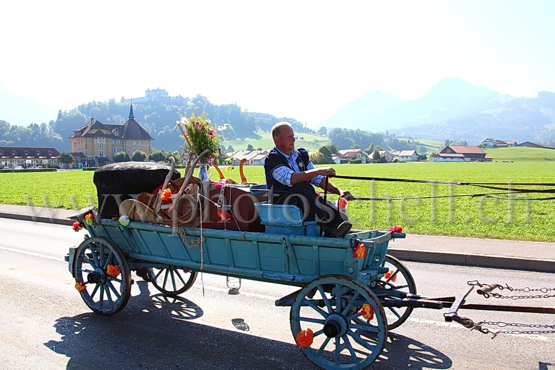 Désalpe devant Gruyères