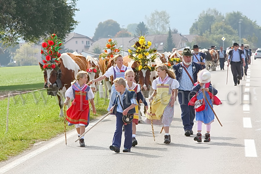 Arrivée à Vuippens