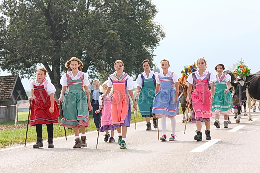 Costumes gruériens lors de la désalpe