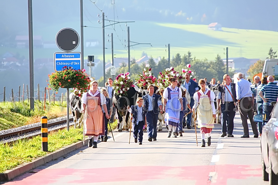 Sortie d'Albeuve pour un troupeau lors de la désalpe