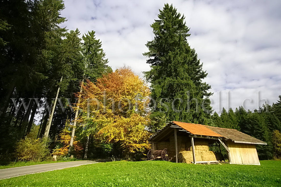 Couleurs automnales sur les monts de Marsens