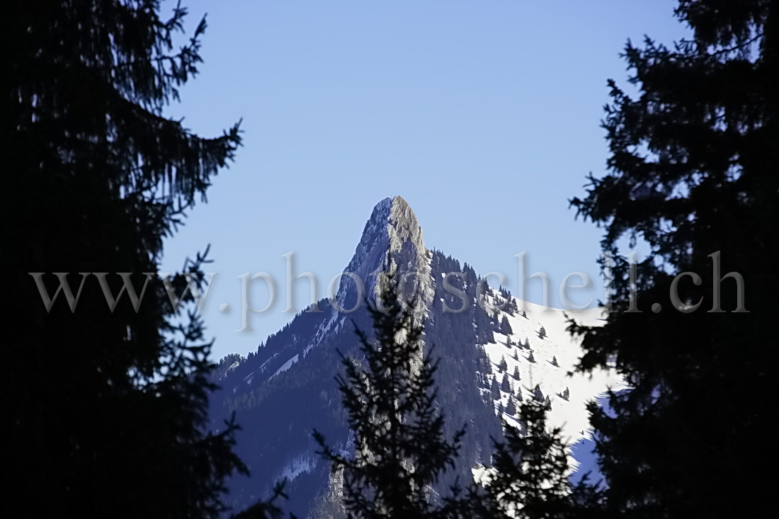 Vue sur la Dent de Broc