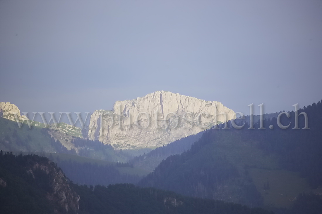 La dent de Savigny