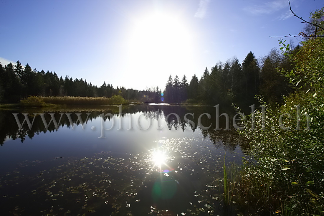 Le soleil et son reflet dans la tourbière