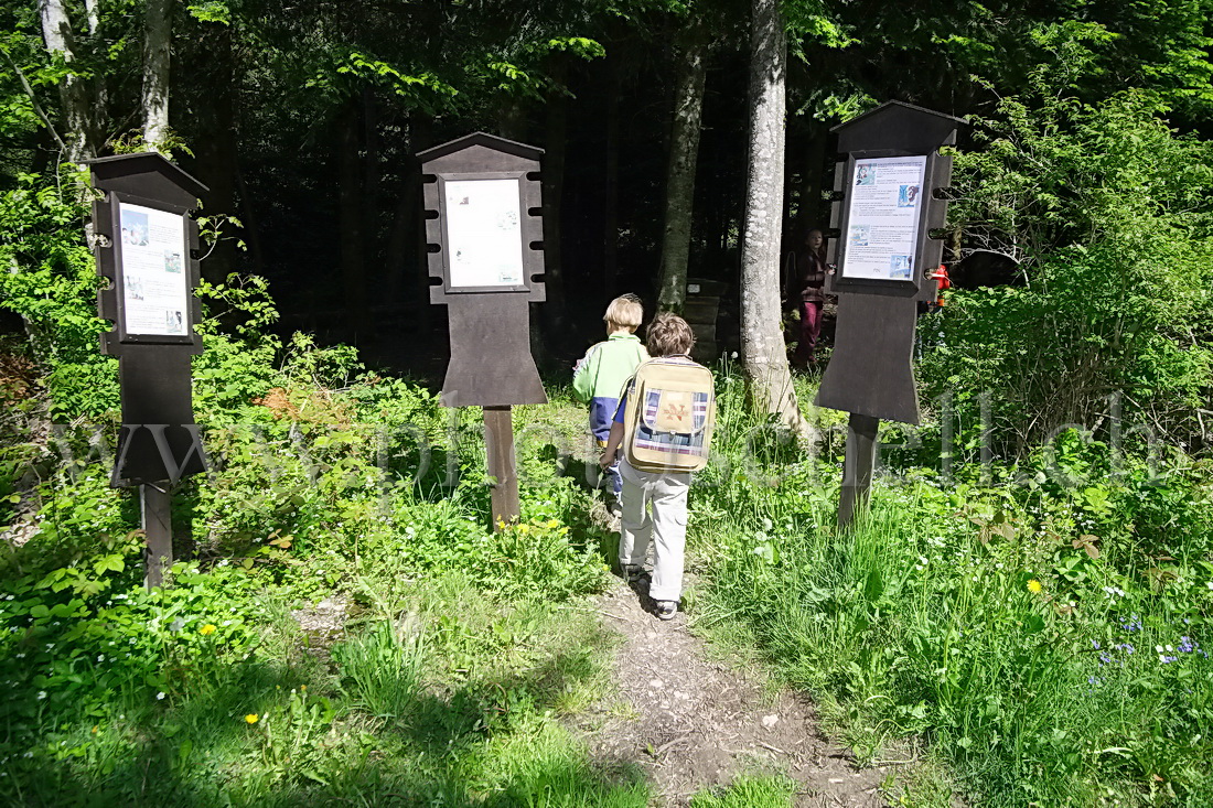 Promenande entre les histoires du chemin des écoliers