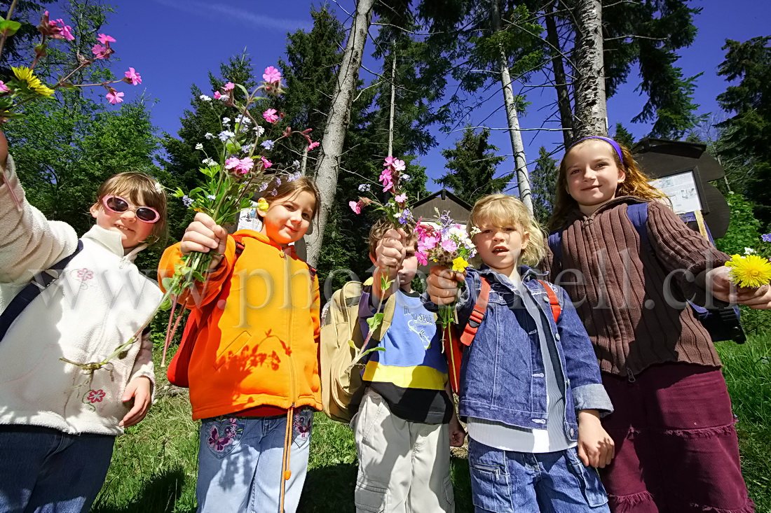 Qui a le plus joli bouquet de fleurs sauvages ?