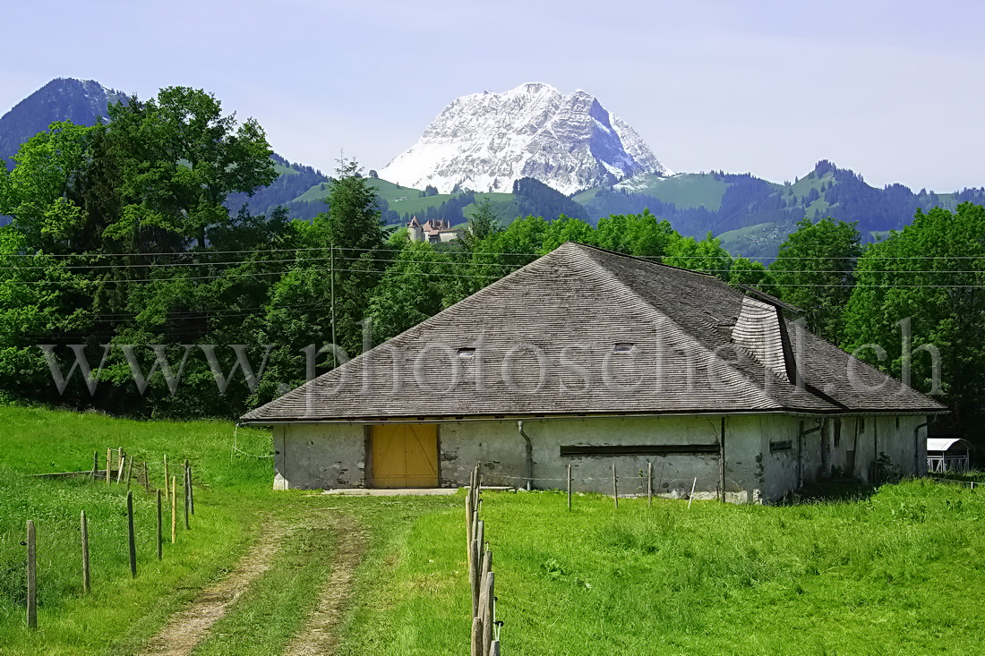 Le Moléson enneigé et le château de Gruyère dans sa verdure