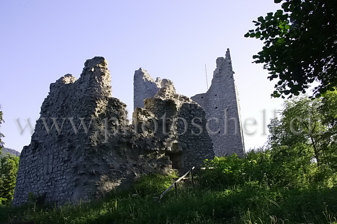 Les ruines du château de Montsalvens