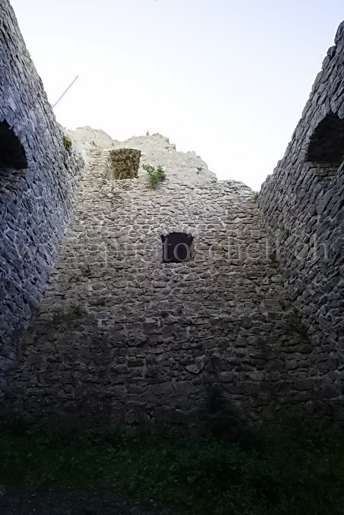 Les ruines du château de Montsalvens