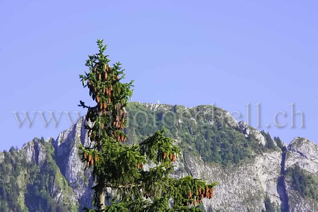 La croix surplombant la Dent de Broc