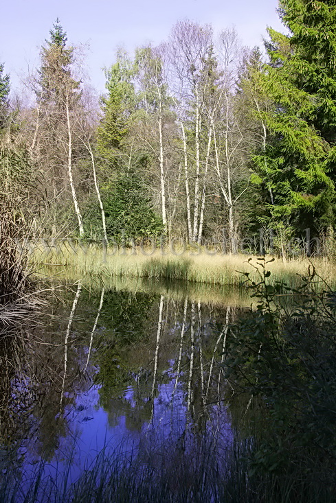 Reflets des boulots