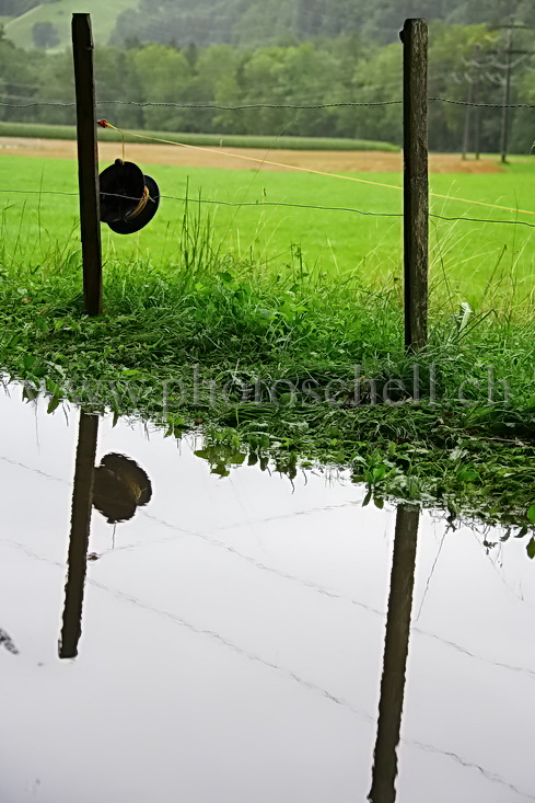 Reflets sur la route