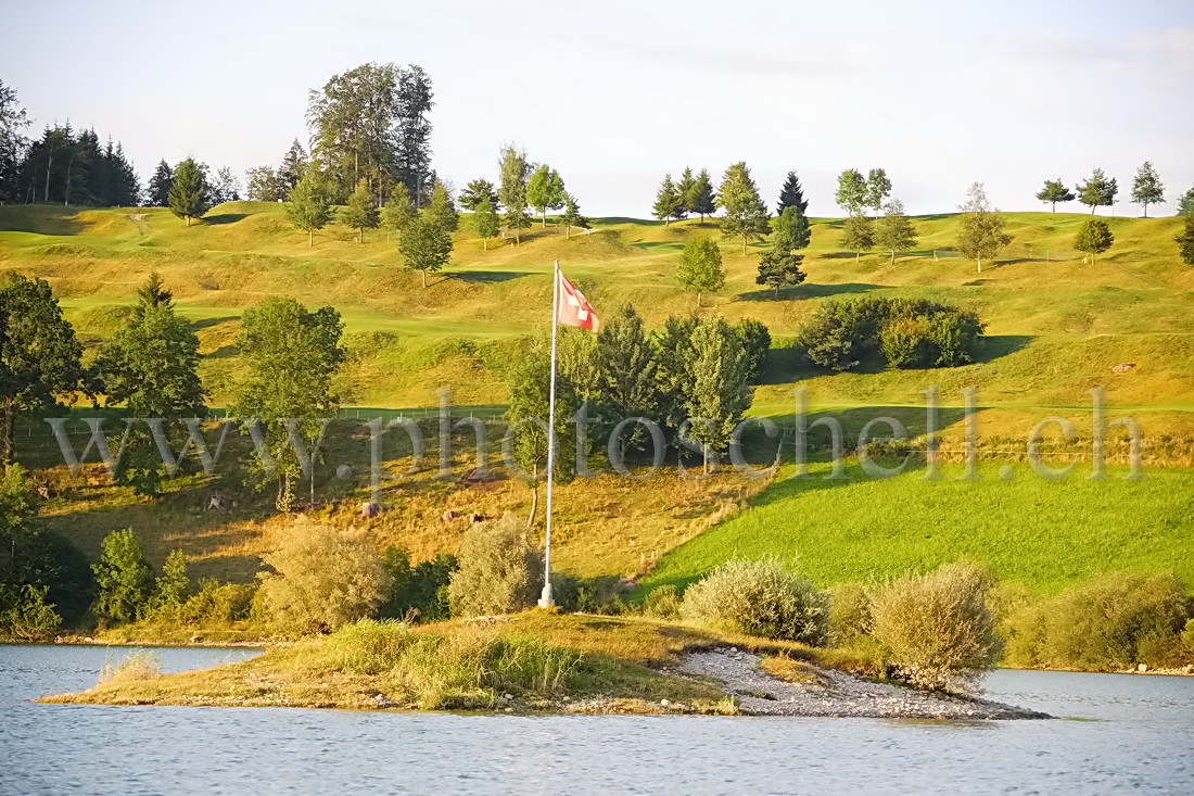 Ile sur le lac de la Gruyère