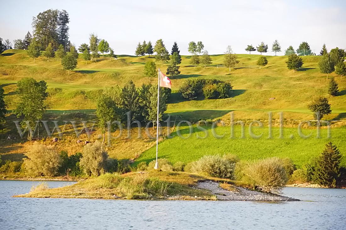 Ile sur le lac de la Gruyère