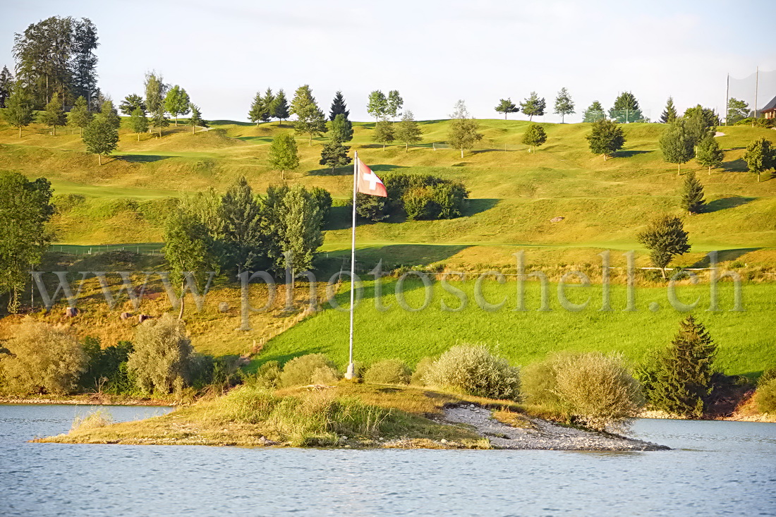 Ile sur le lac de la Gruyère