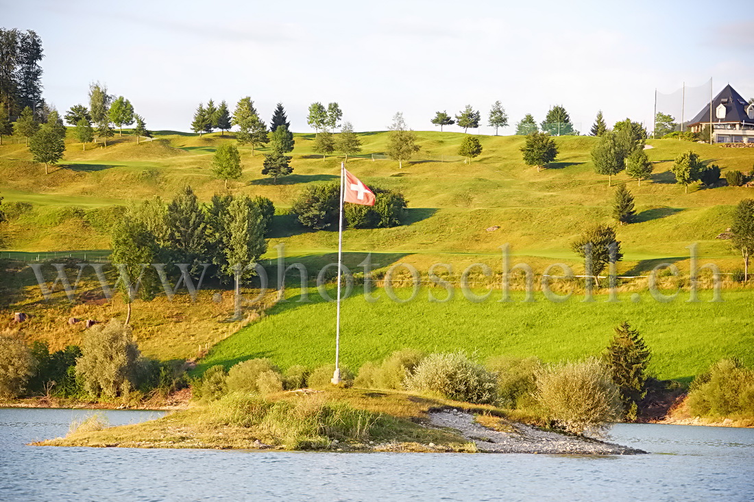 Ile sur le lac de la Gruyère