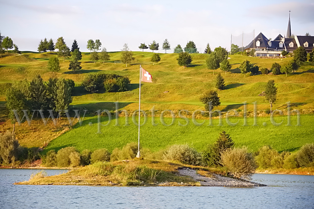 Ile sur le lac de la Gruyère