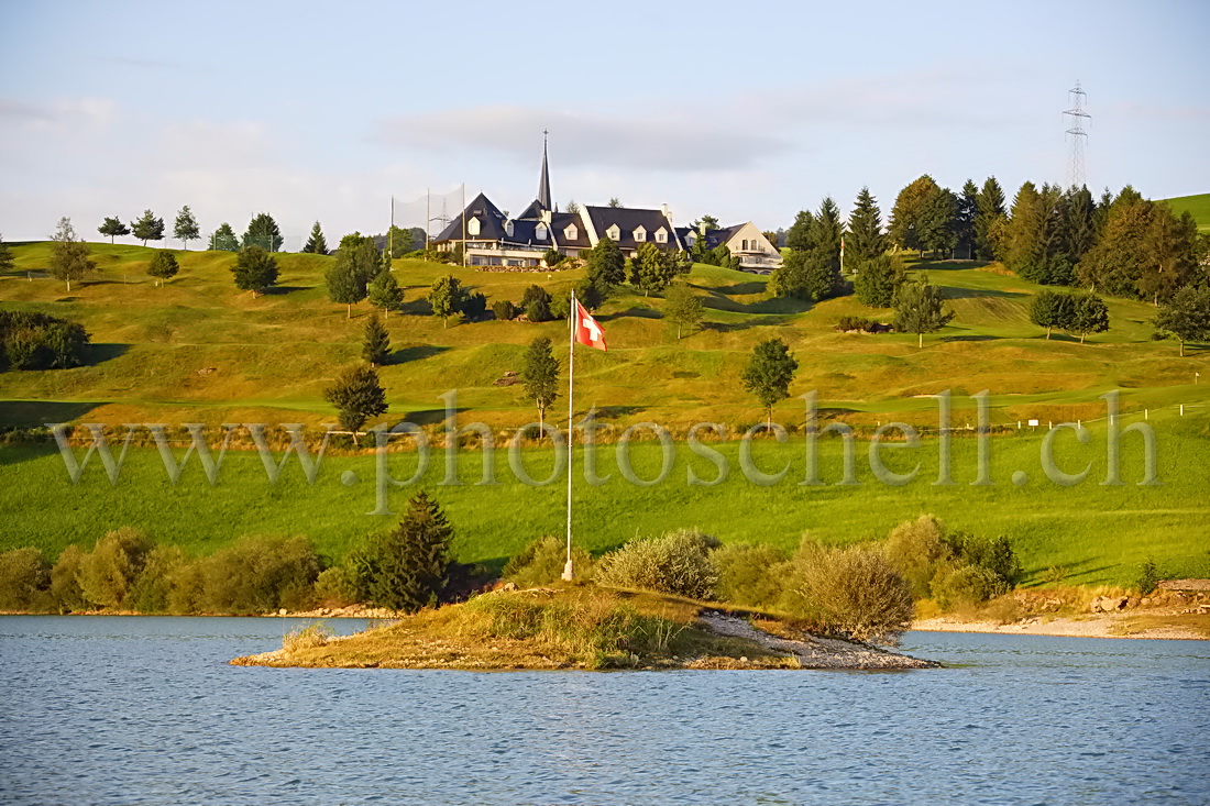 Ile sur le lac de la Gruyère