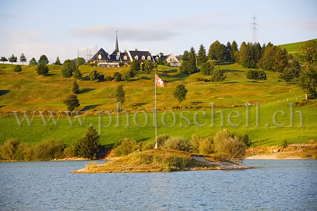 Ile sur le lac de la Gruyère