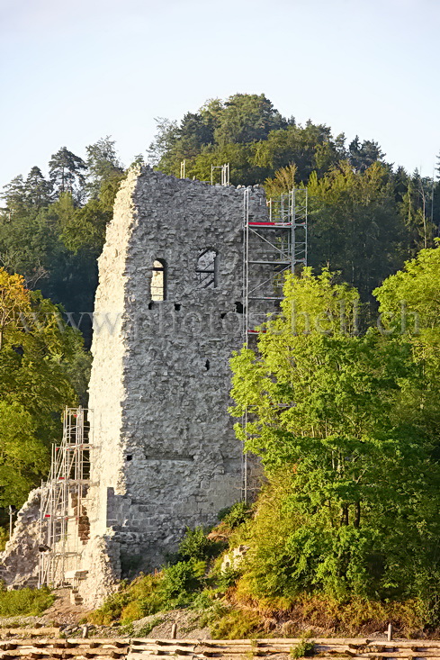 Château de l'ile d'Ogoz