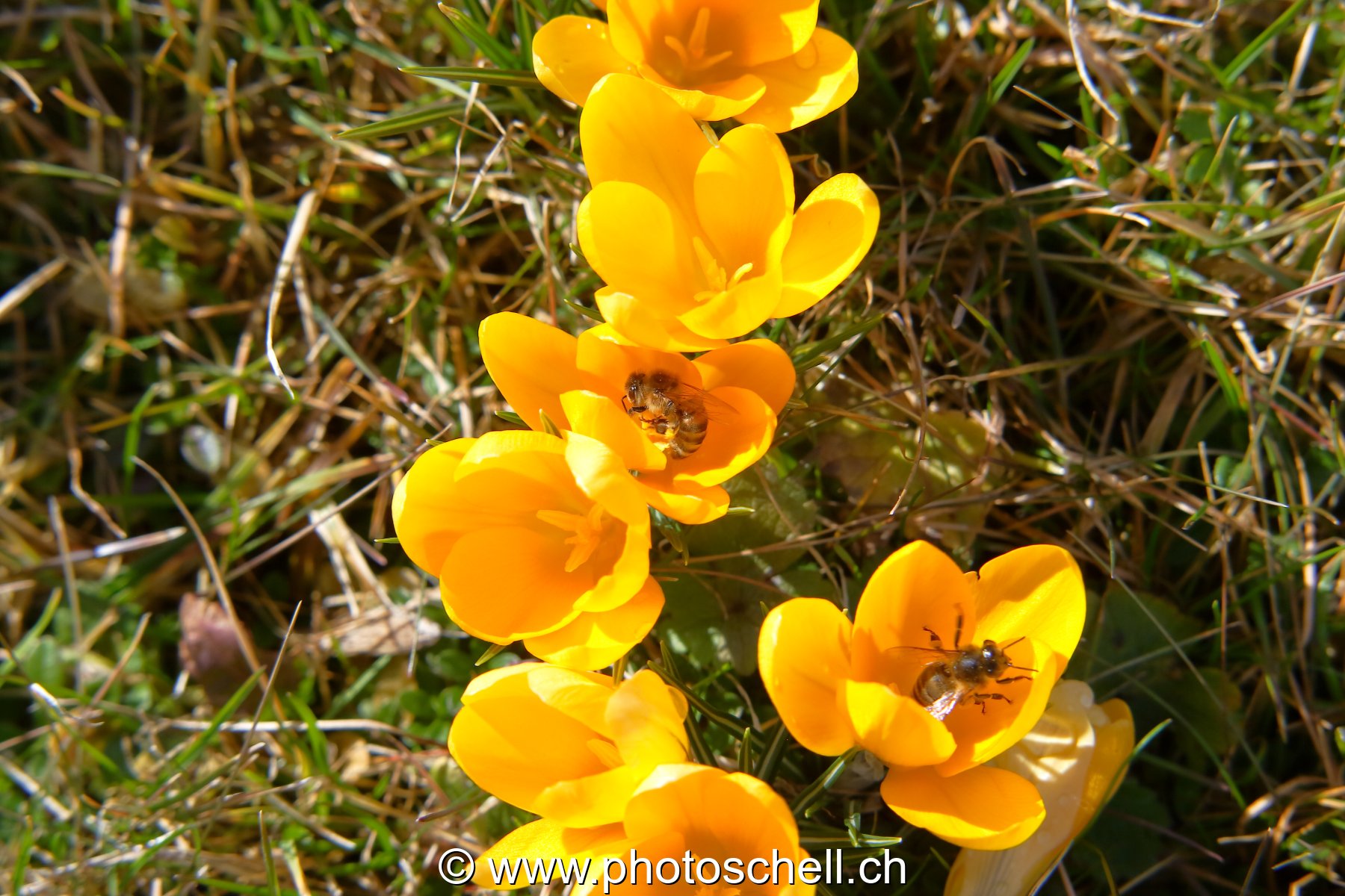 Photo 22
