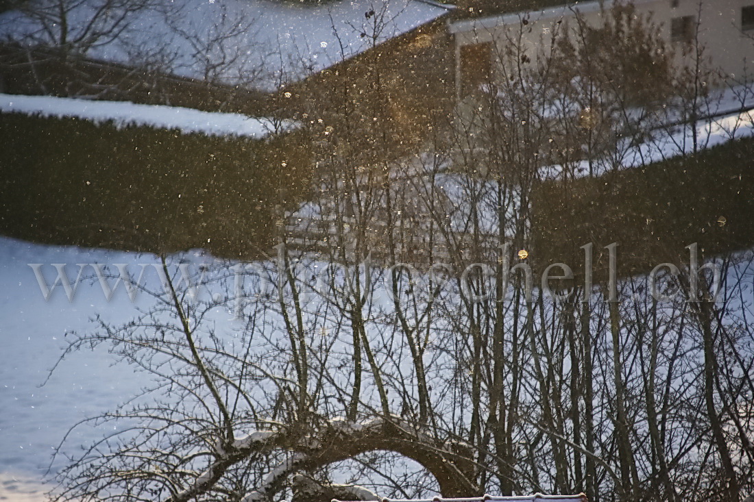 Reflets du soleil sur la neige qui tombe