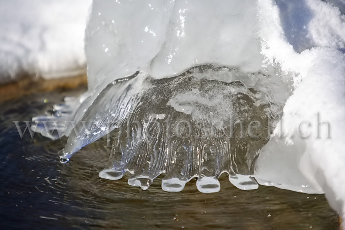 Fontaine de Marsens sous la glace (détail)