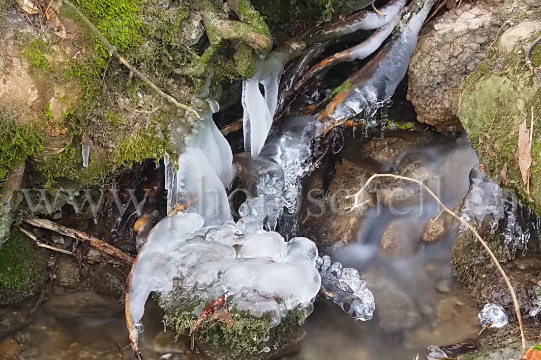 Glace dans le ruisseau de Marsens