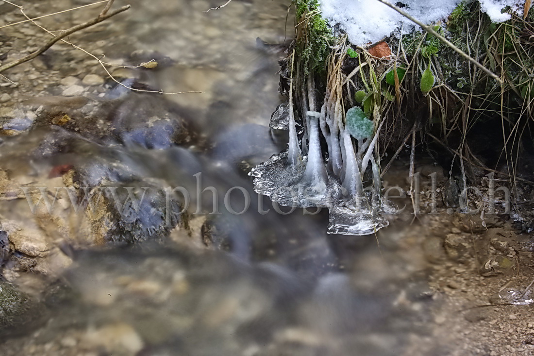 Glace dans le ruisseau de Marsens