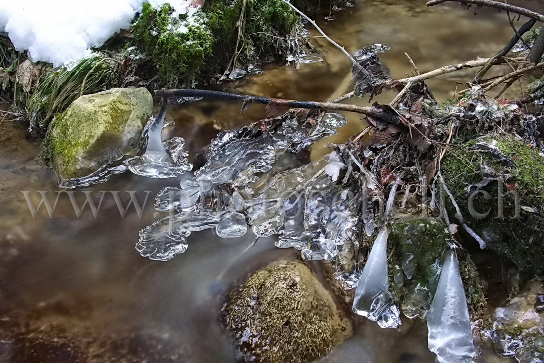 Glace dans le ruisseau de Marsens