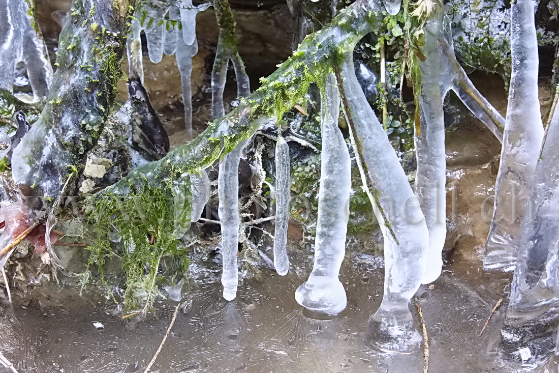 Glacons dans le Gérignoz