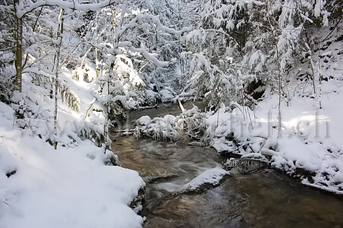 Soleil sur la rivière enneigée