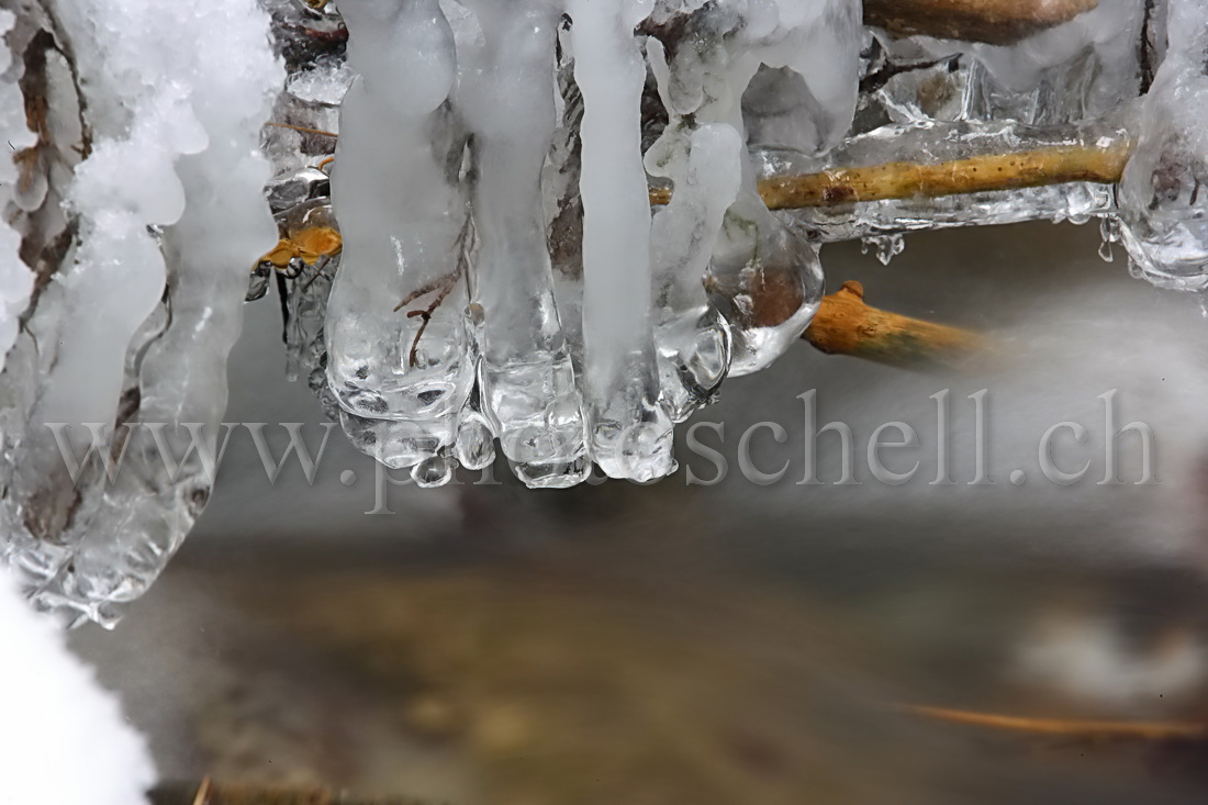 Petites cascades avec leurs sculptures de glace