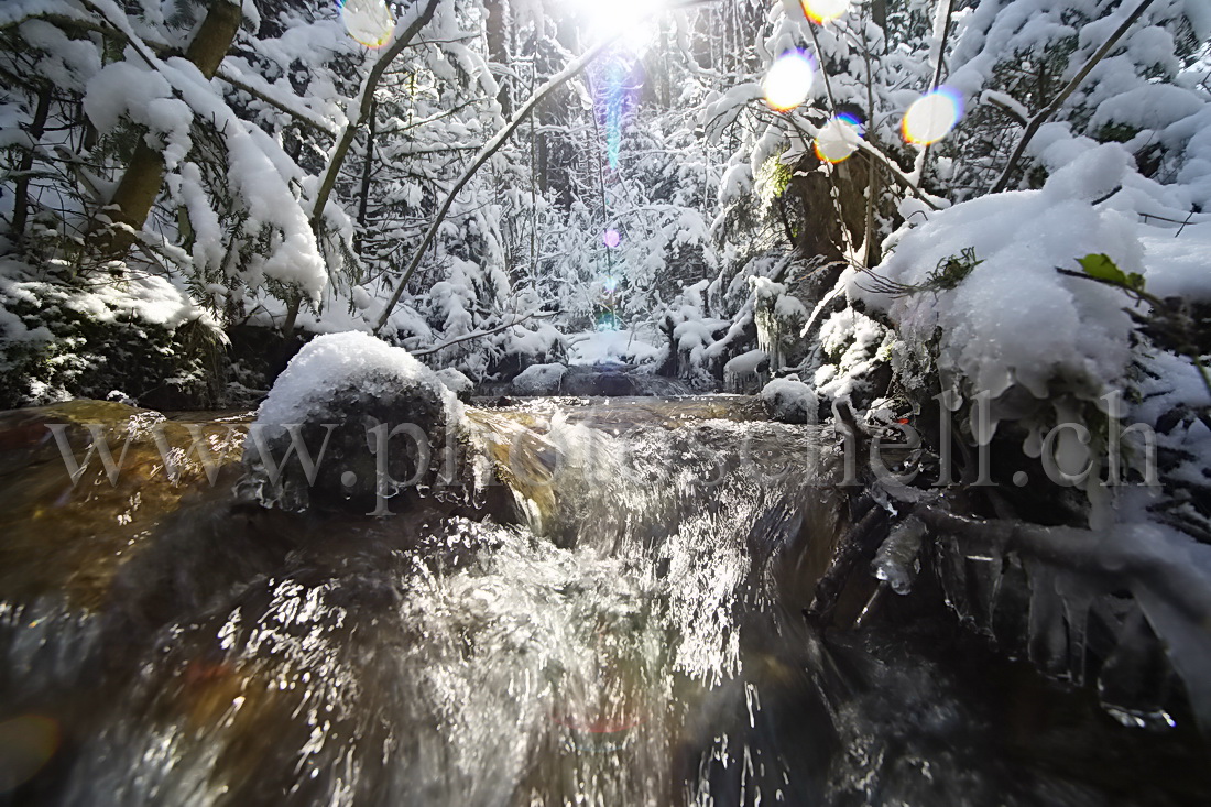 Cours d\'eau en contreplongée et contre-jour...