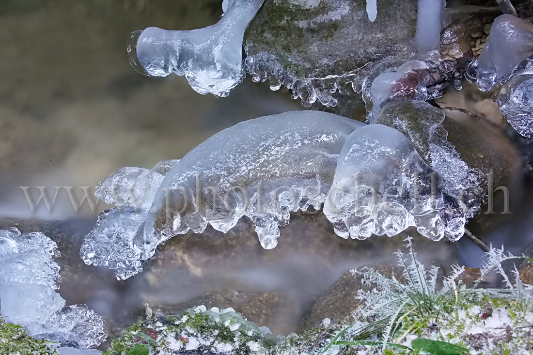 Monstre rampant en glace