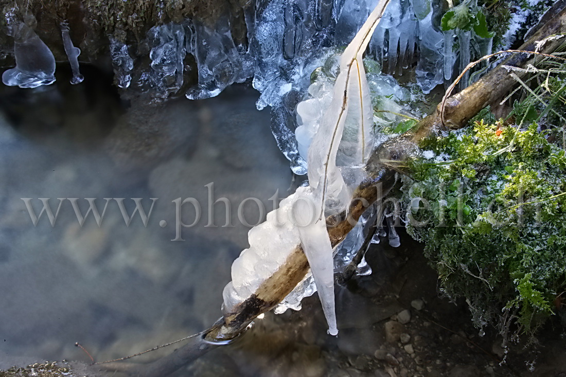 Sculpture de glace illuminée par le soleil