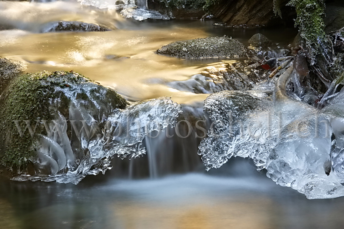 Contrastes sur le ruisseau glacé