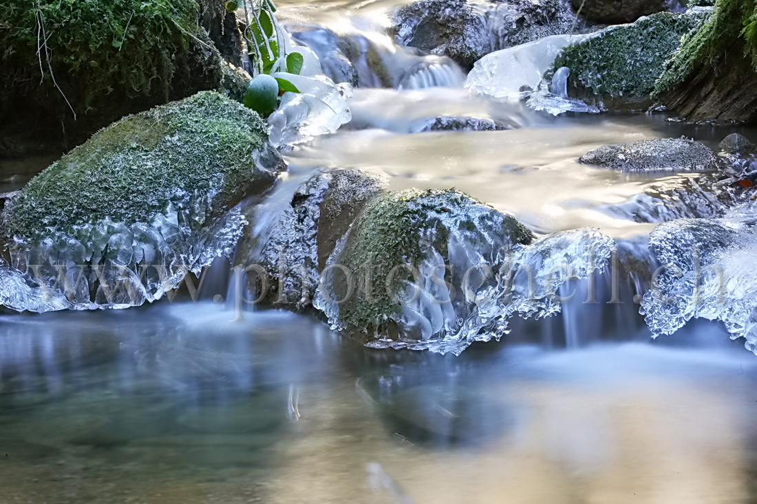 Contrastes sur le ruisseau glacé