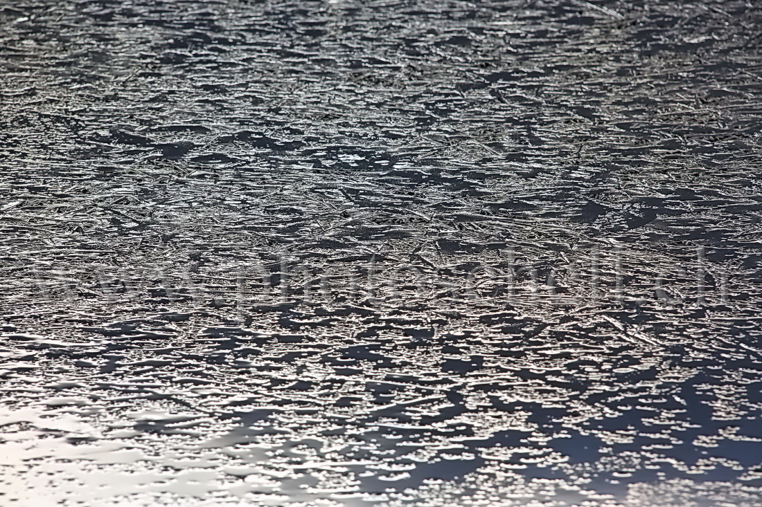 Structure de la glace sur la tourbière