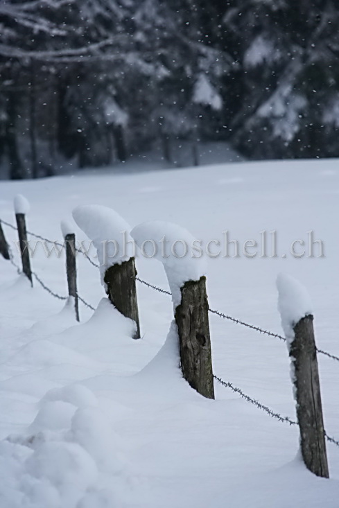 Poteaux chapeautés de neige