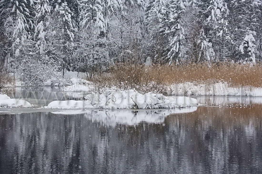 Couleurs de la neige qui tombe