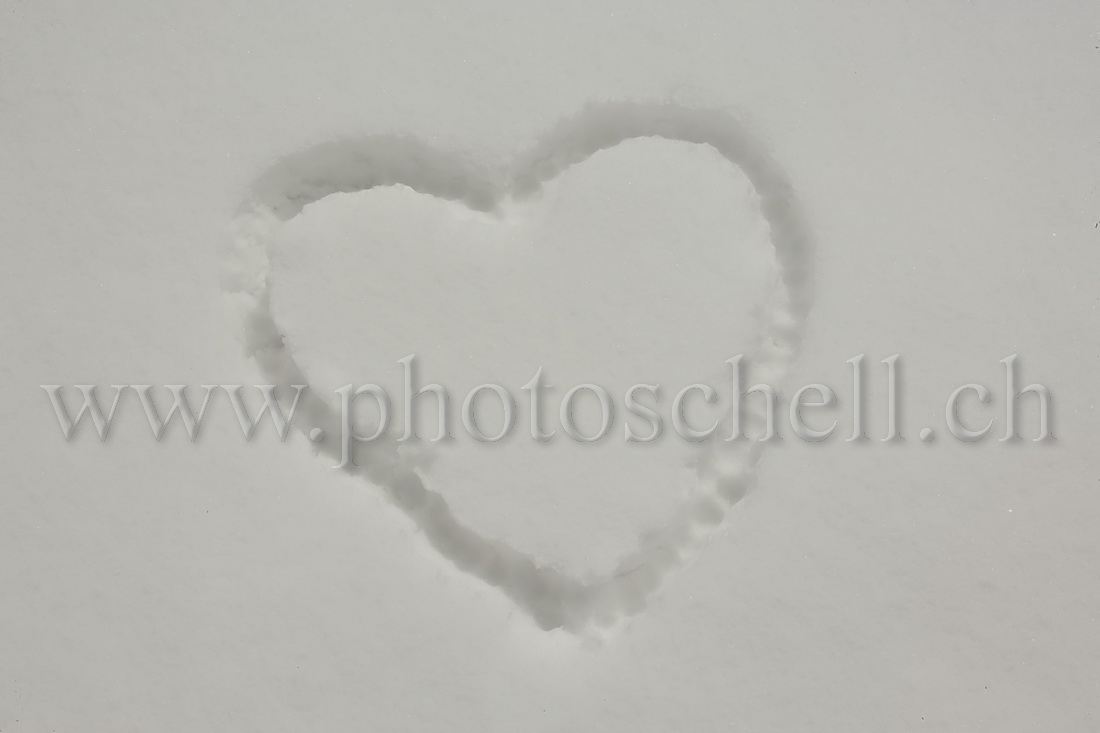 Coeur de glace ou de neige ?
